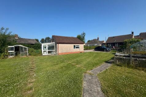 rear garden.jpg