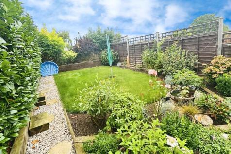 Back Garden New.jpg