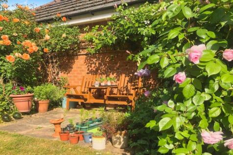 Garden with Roses.jpg