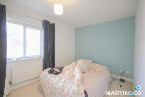 Picture7