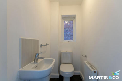 Picture7