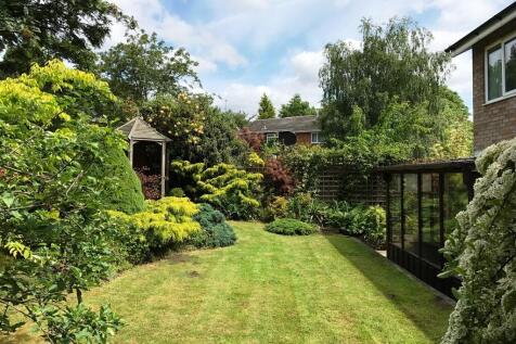 Property Image 17