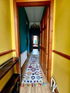 IMG_1966.jpeg
