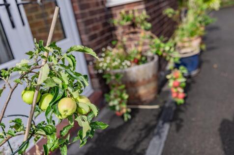 Property Image 26