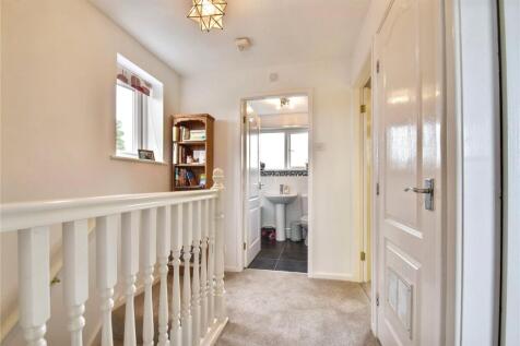 Picture 11