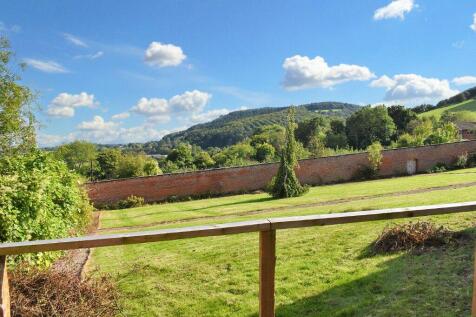 View From Patio