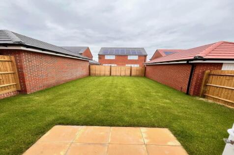 image11[1]