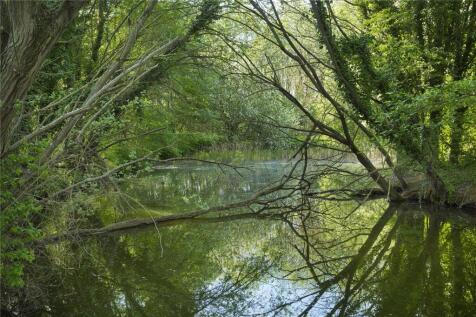 Pond - Lot 3