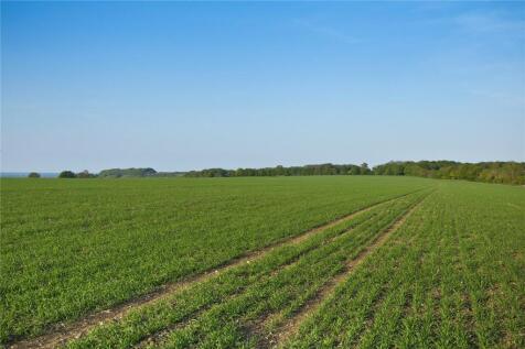 Lot 7 - Arable Land