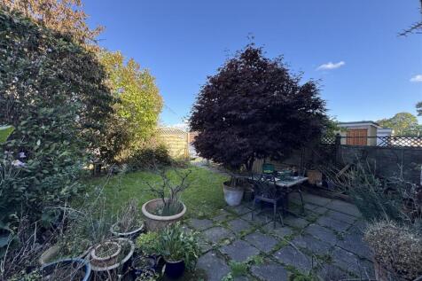 IMG_2414.jpeg