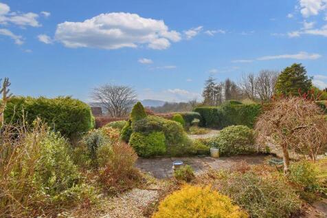Rear Garden Angle 1