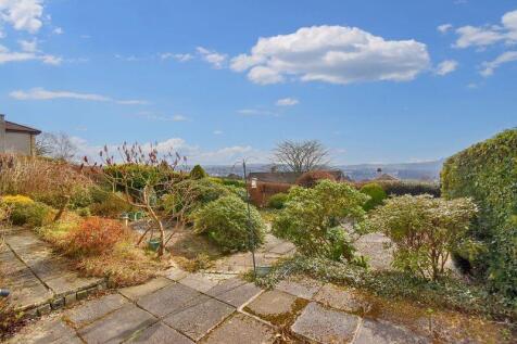 Rear Garden Angle 2