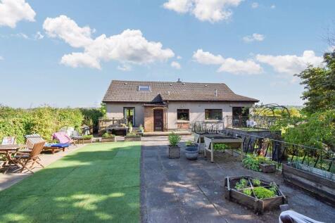 Rear Garden Angle 2