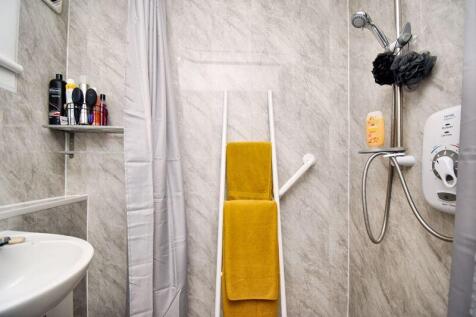 Shower Room Angle 2