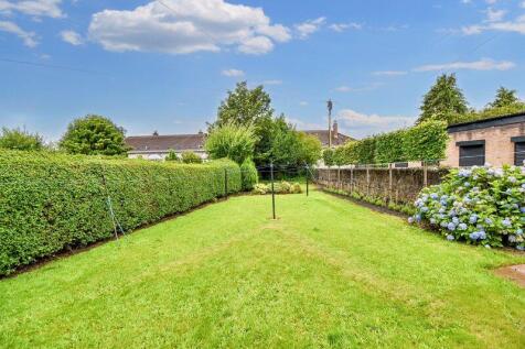 Garden Angle 1
