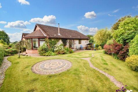 Front Garden Angle 2