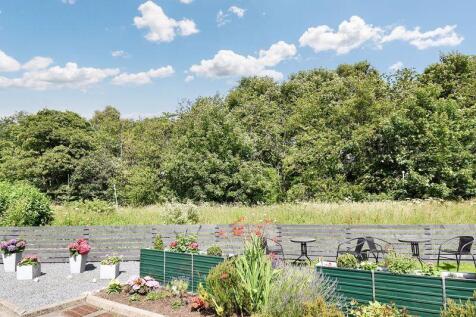 Garden Area Angle 2