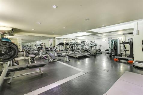 The Gym