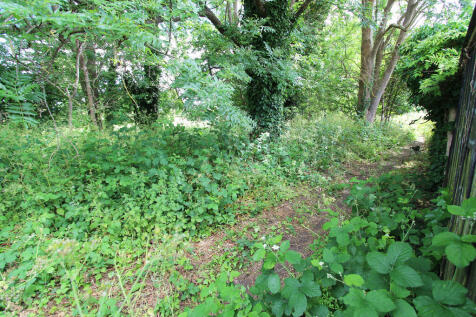 Holly Oak Woods
