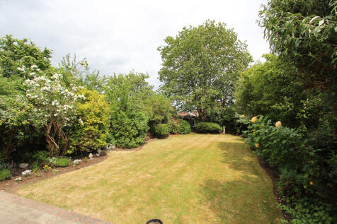 Garden Lawn