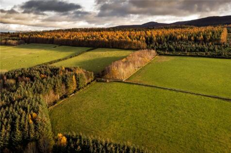 Drone Image