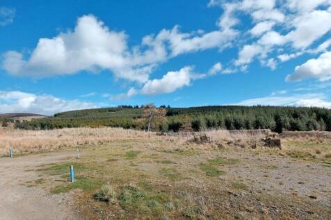 Site Image