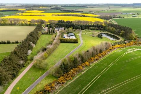 Drone Image