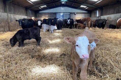 Farm Buildings