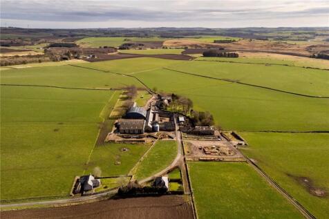 Steading
