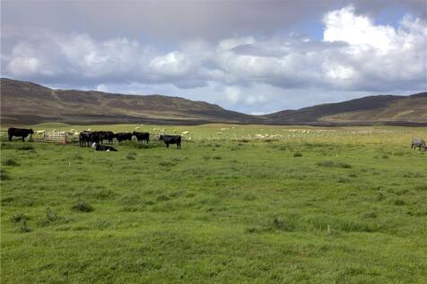 Lower Achnahannet