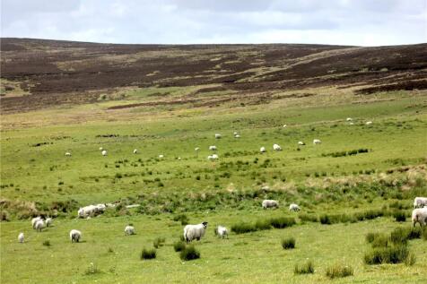 Hillhead Of Morinsh