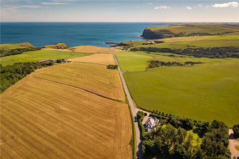 Drone Image