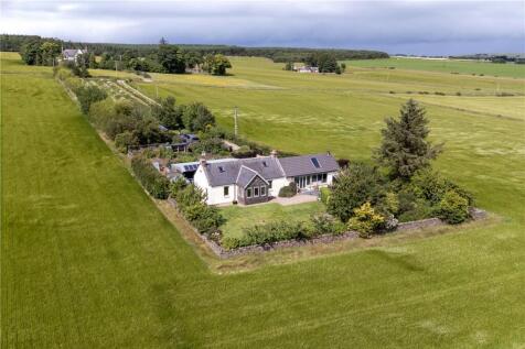 Aerial Image