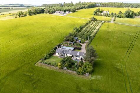 Aerial Image