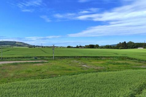 Site