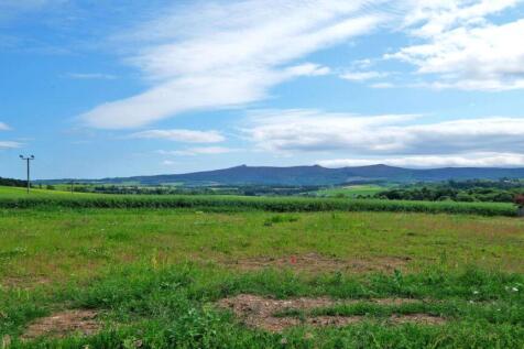 Site