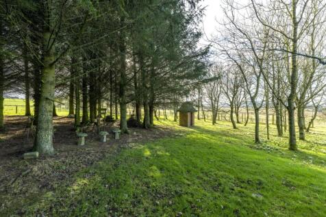 Grounds