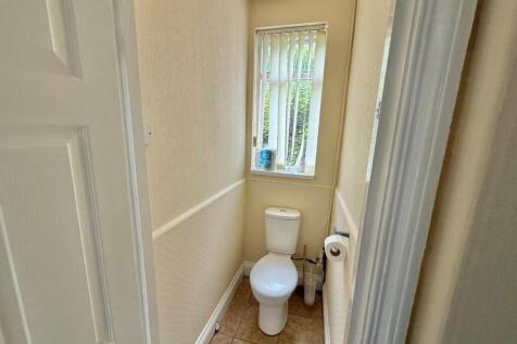 toilet.jpg