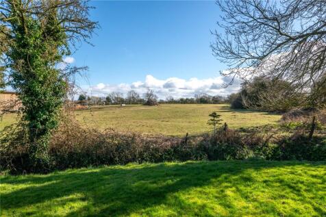 Open-Field Views