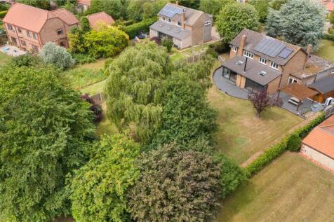 Aerial Shot