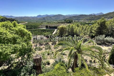 Property Image 36