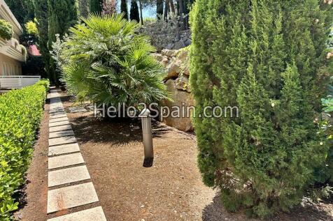 Property Image 16