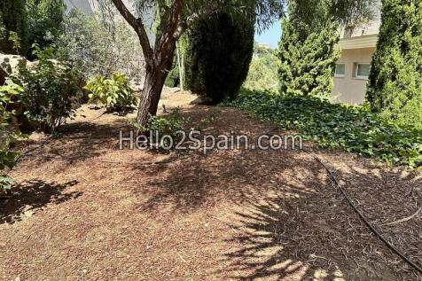 Property Image 17