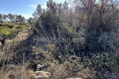 Property Image 5
