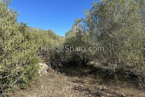 Property Image 7