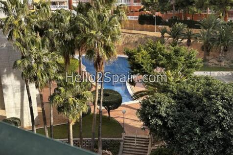 Property Image 13
