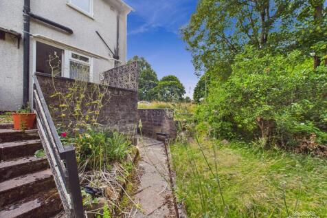 Rear garden v2
