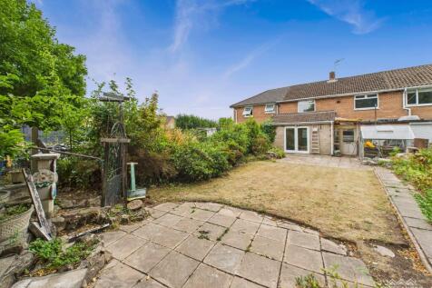 rear garden 2