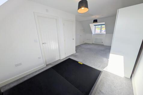 PXL_20251008_1145071