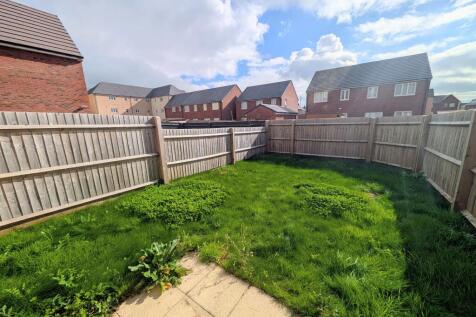 PXL_20251008_1153245